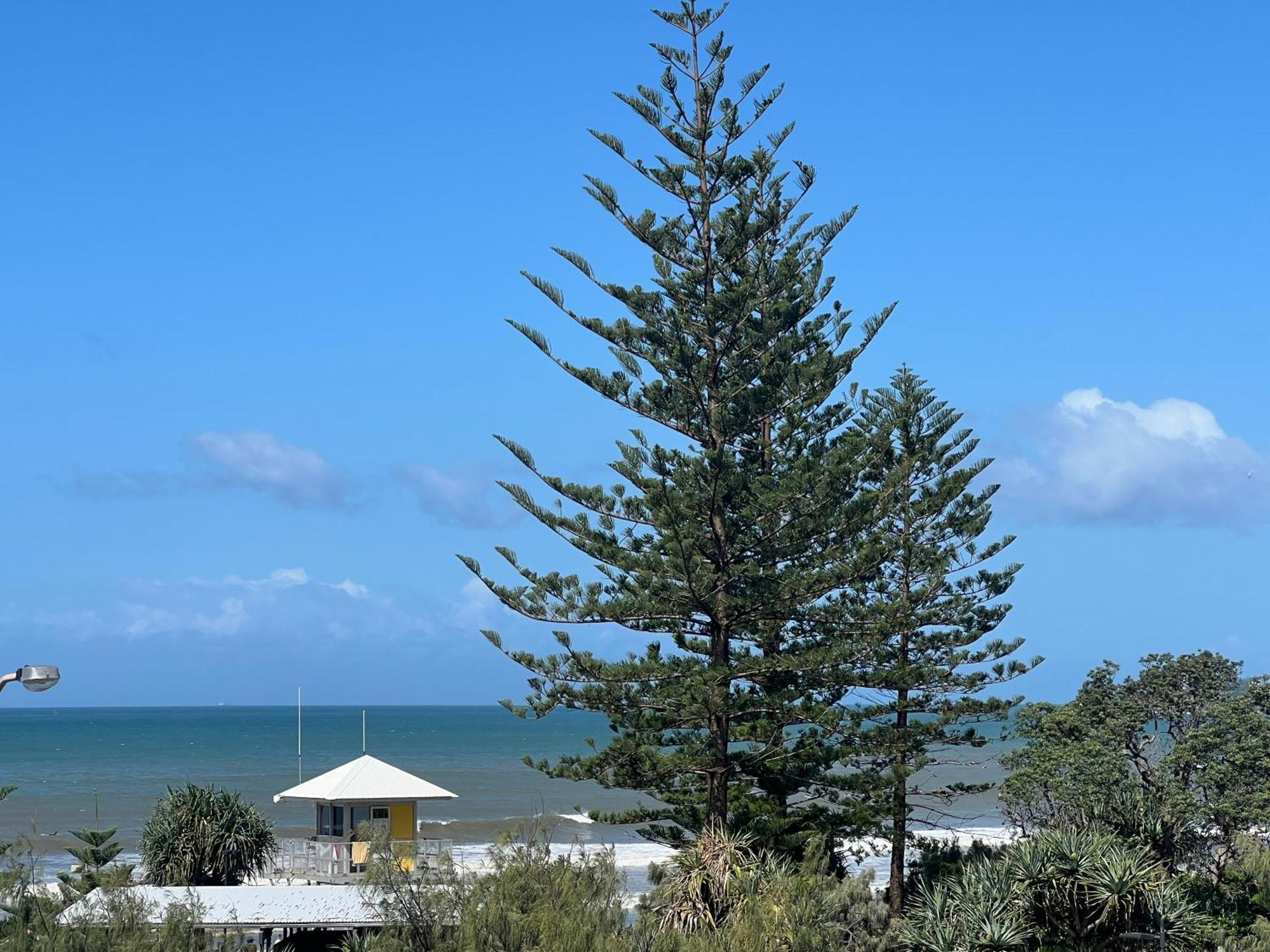 Ocean View - Alexandra Headlands Beachfront Unit Экстерьер фото
